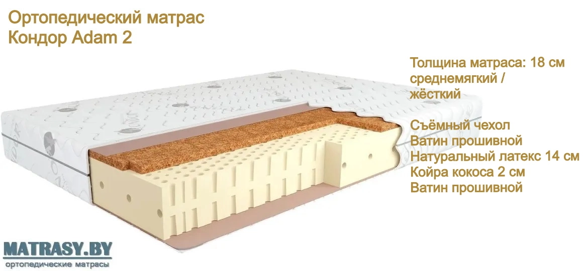 Беспружинный матрас Кондор Adam 2 купить в Сморгони недорого