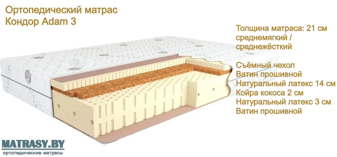 Беспружинный матрас Кондор Adam 3 купить в Сморгони недорого