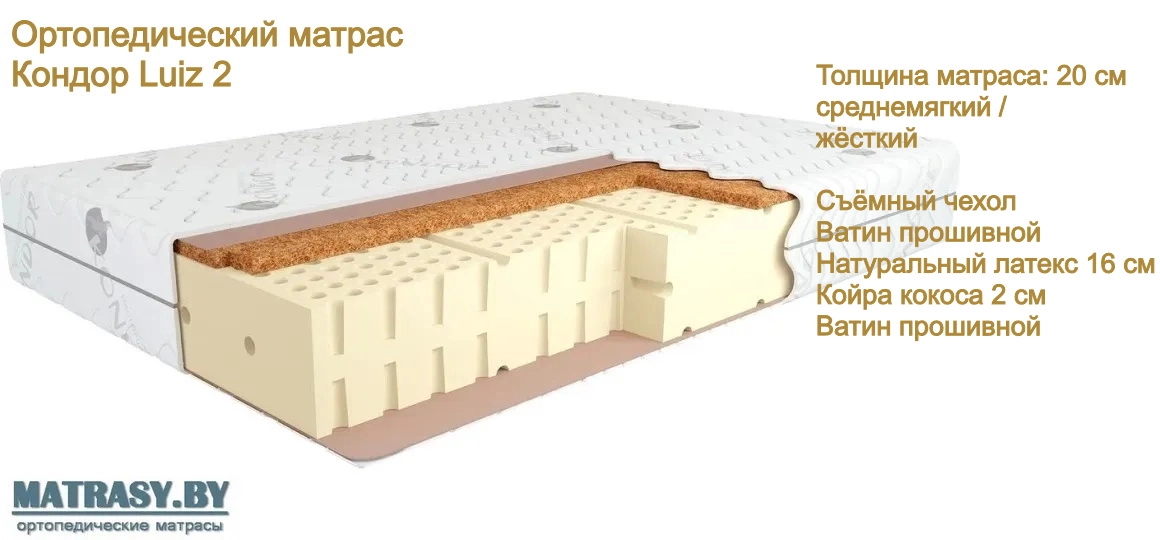 Беспружинный матрас Кондор Luiz 2 купить в Сморгони недорого